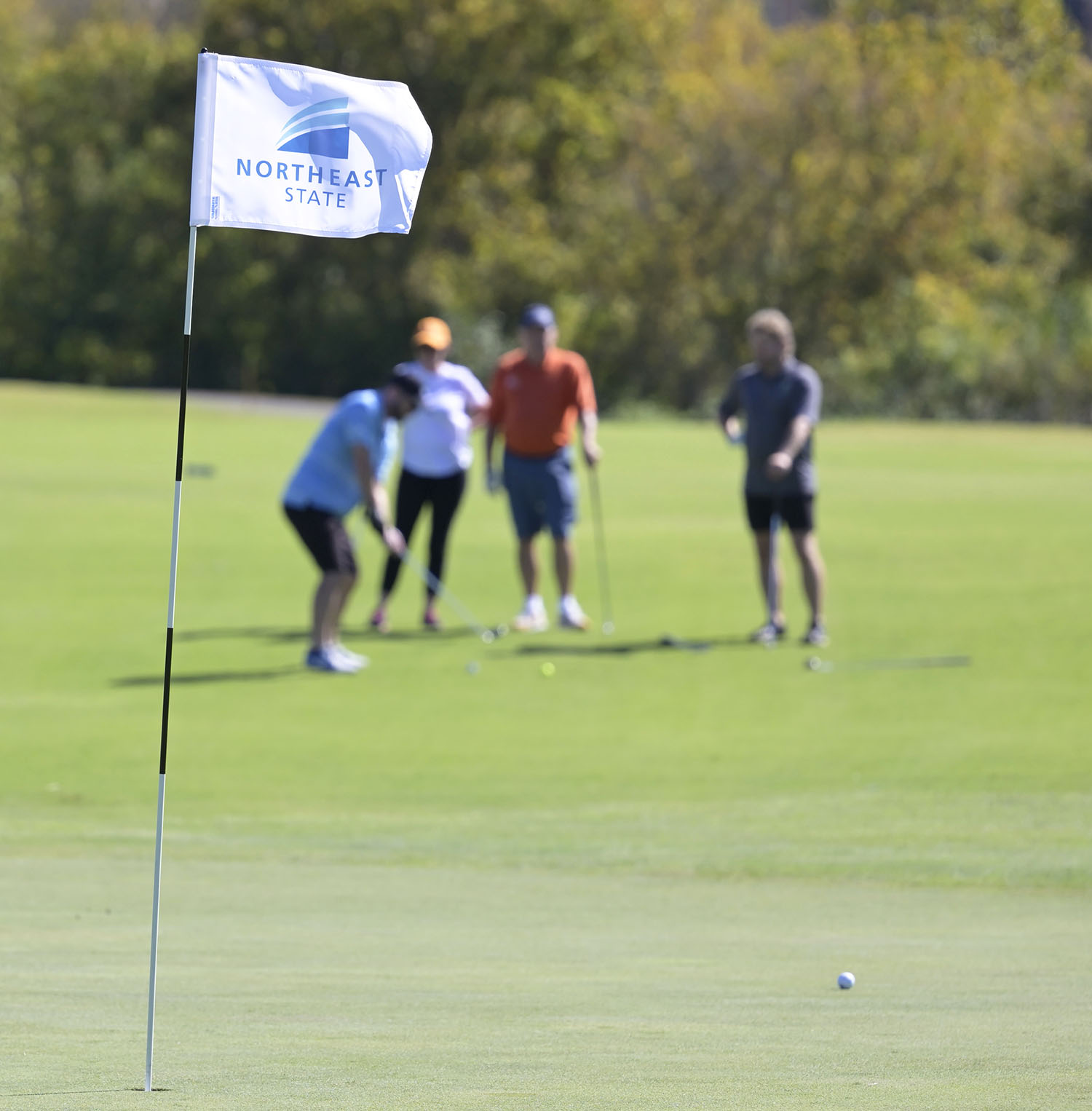 Northeast State Community College invites you to the third annual Academic Village Golf Tournament on Wednesday, Oct. 14, hosted by Cattails at Meadowview in Kingsport.
